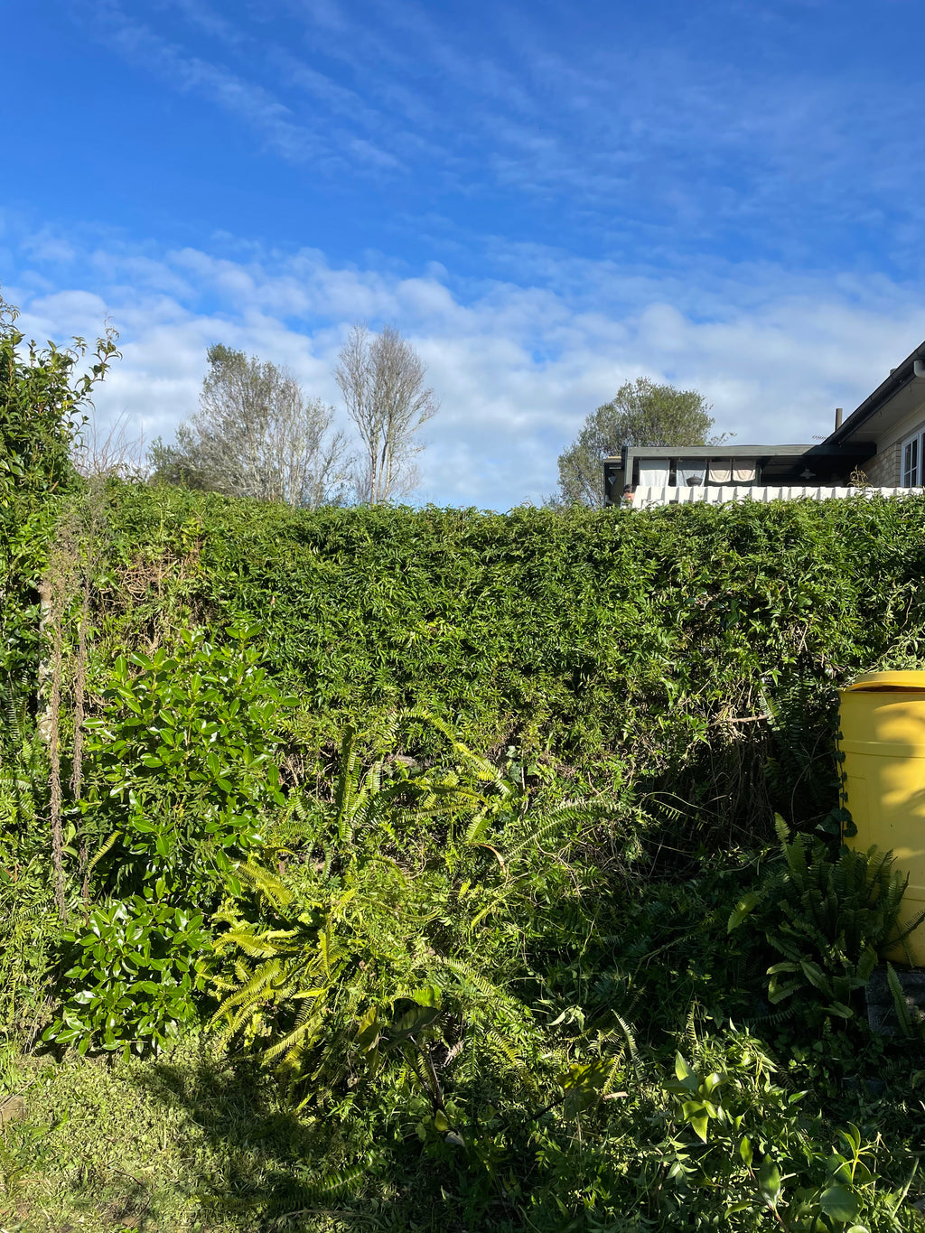 Hedge & Shrub Trimming