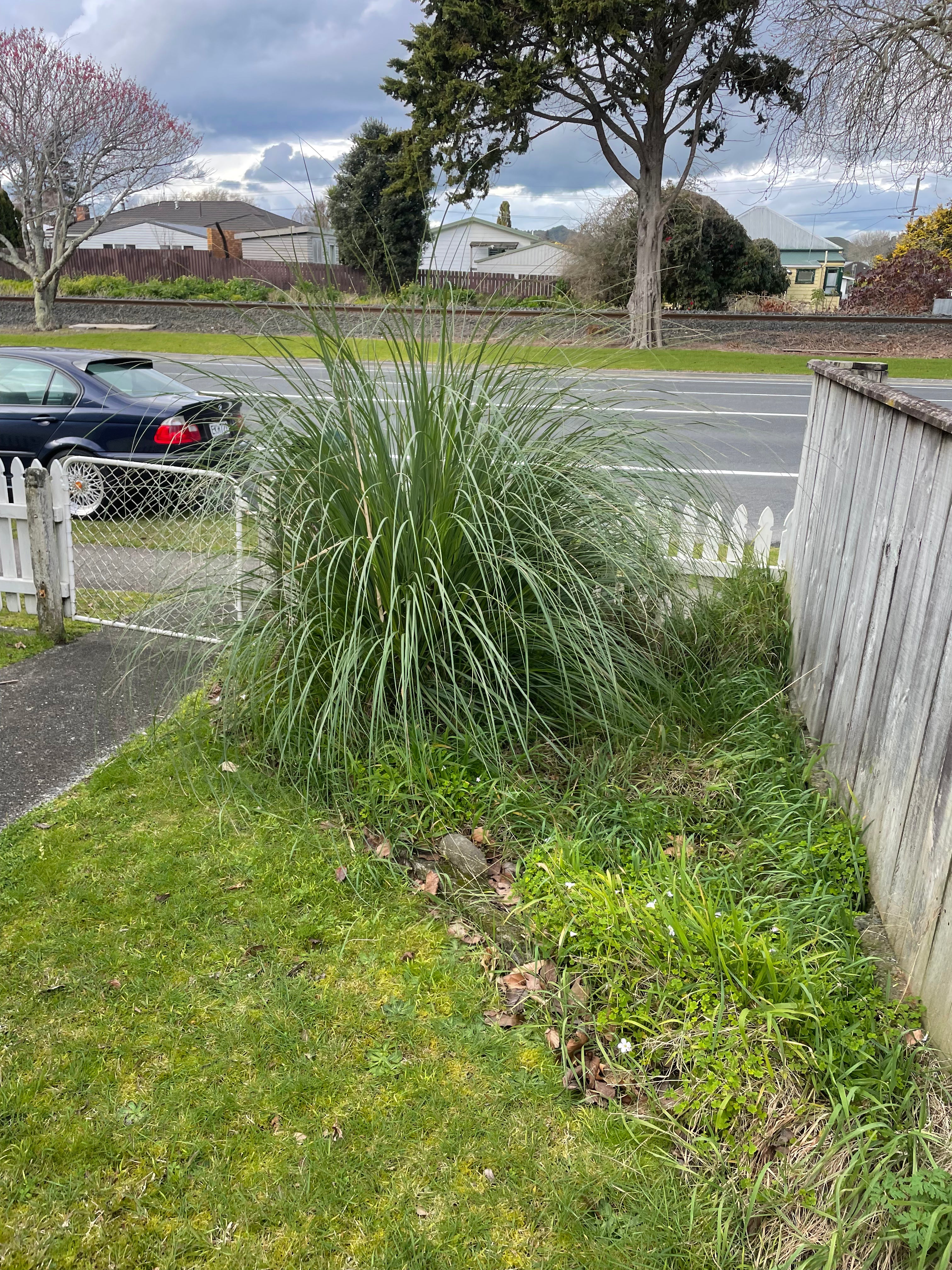 Full Garden Bed Makeover
