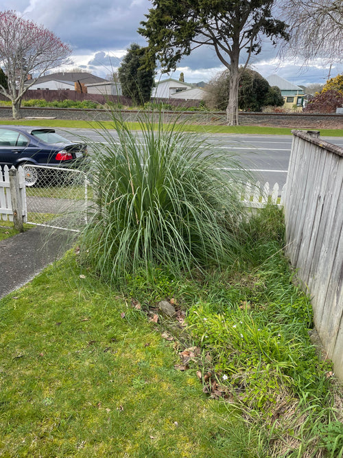 Full Garden Bed Makeover